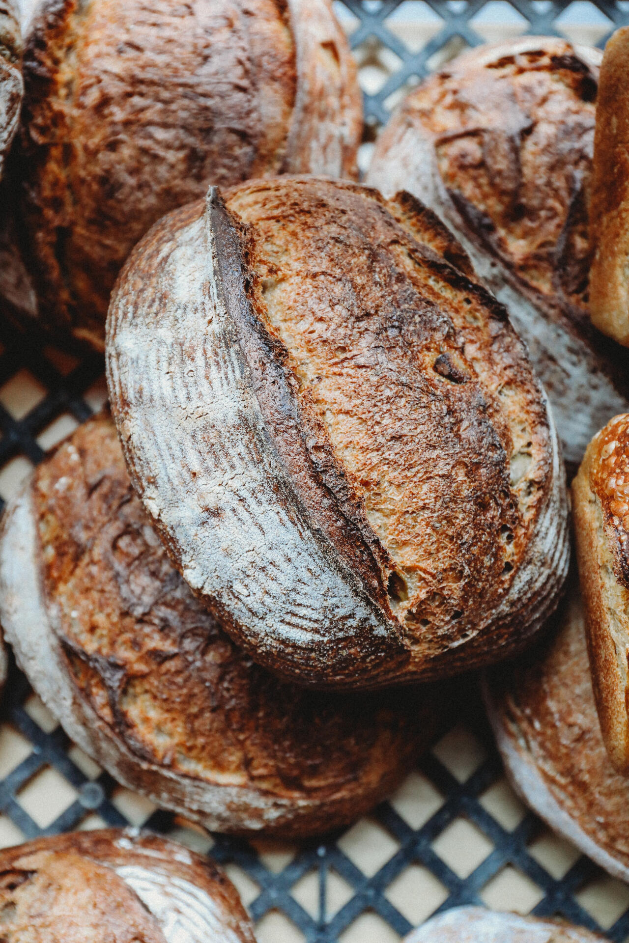 Hewn Included in Food & Wine Magazine’s List of The Best Bread in Every State_Stack of Cranberry walnut breads